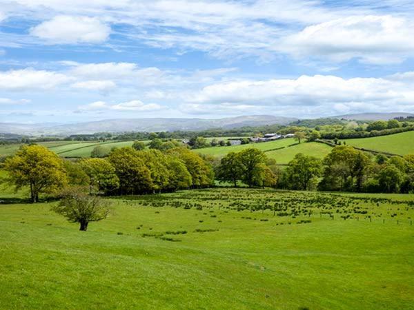 Black Mountain View Llanafan-fawr Esterno foto
