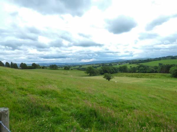 Black Mountain View Llanafan-fawr Esterno foto